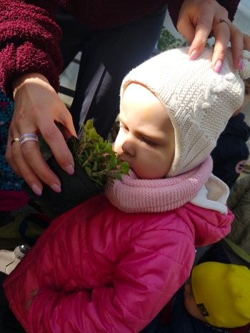 IMG-20250409-WA0018