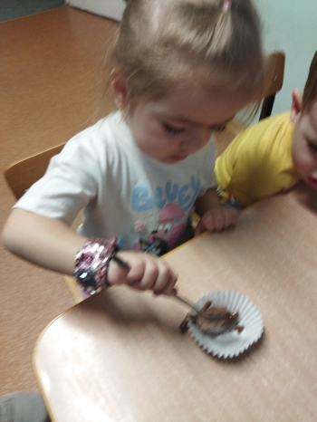 IMG-20250411-WA0023